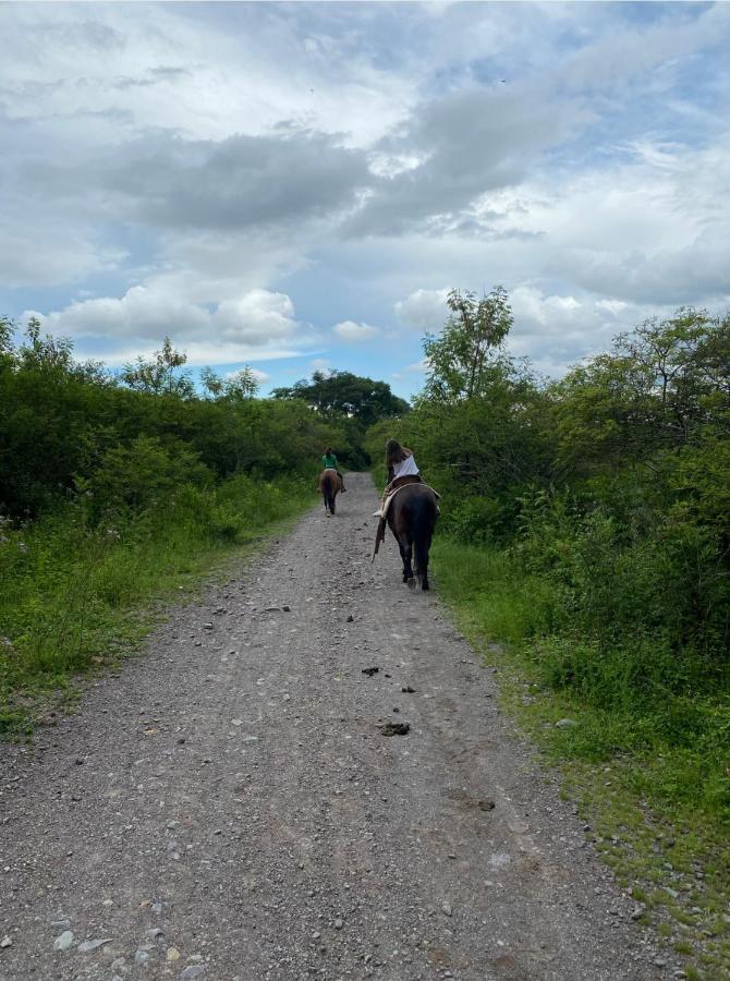 Paseo De Los Poetas Esteco 260 ซัลตา ภายนอก รูปภาพ
