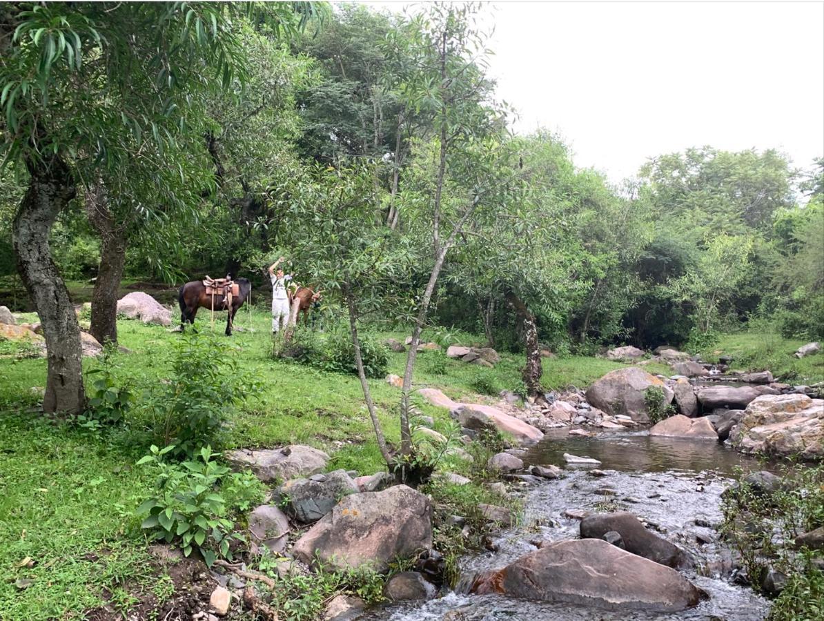 Paseo De Los Poetas Esteco 260 ซัลตา ภายนอก รูปภาพ